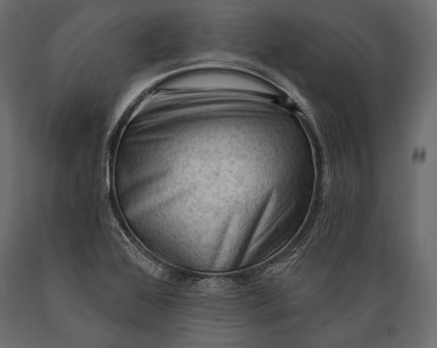 X0000088851368200706291445