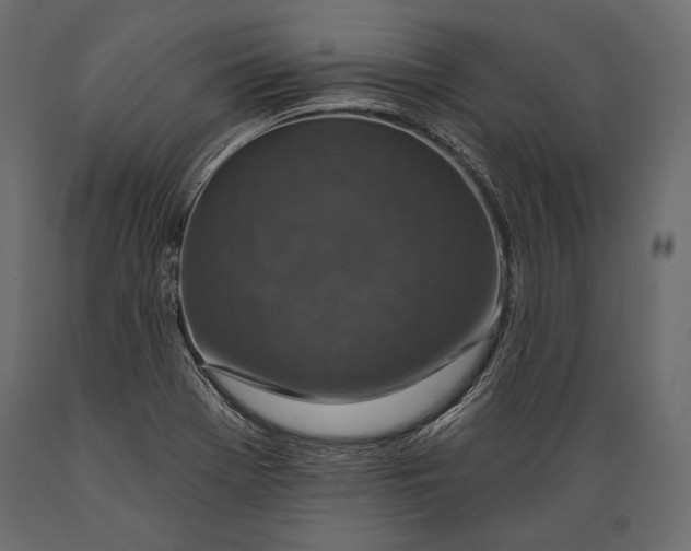 X0000088851369200706291445