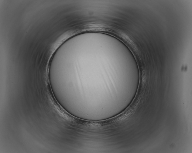 X0000088851370200706291445