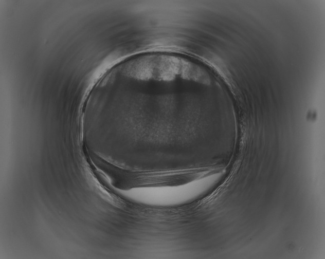 X0000088851371200706291445