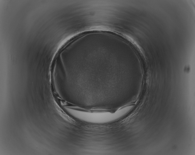 X0000088851372200706291445