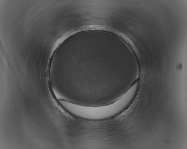 X0000088851373200706291445