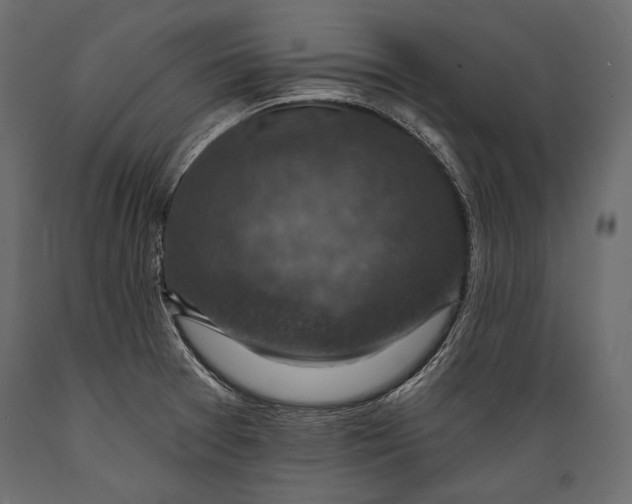 X0000088851377200706291445