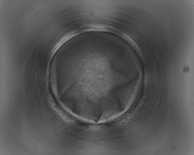 X0000088851378200706291445