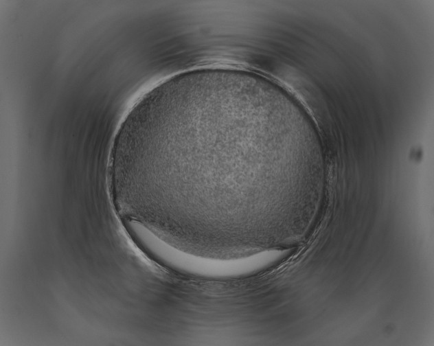 X0000088851379200706291445