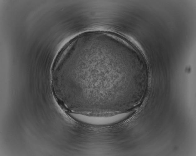 X0000088851380200706291445