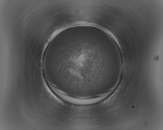 X0000088851381200706291445