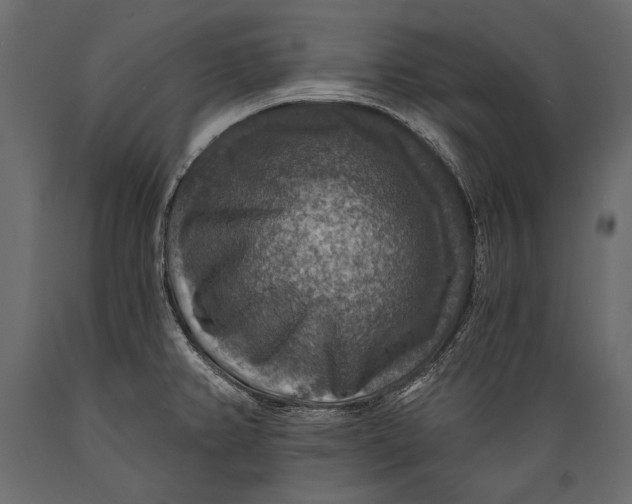 X0000088851382200706291445