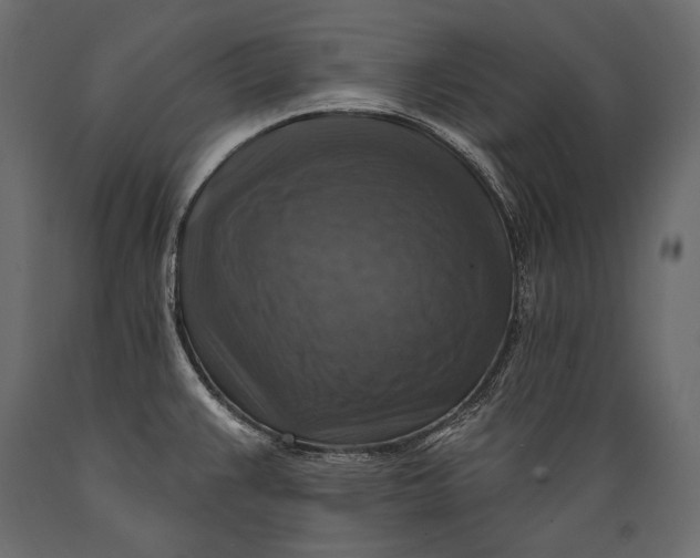 X0000088851383200706291445