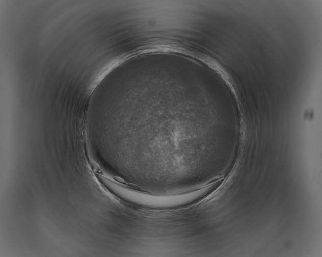 X0000088851385200706291445