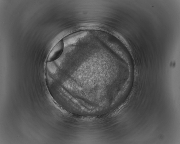 X0000088851386200706291445