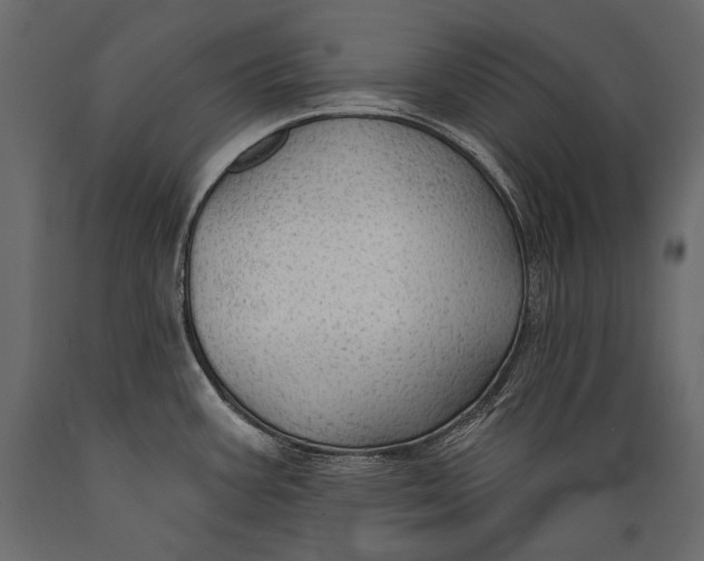 X0000088851387200706291445