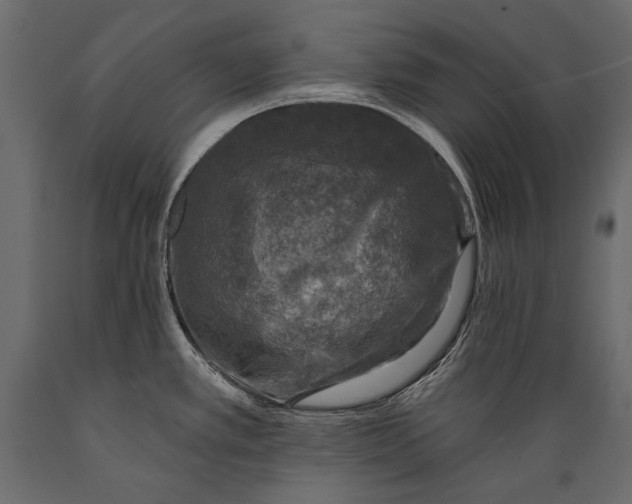 X0000088851389200706291445