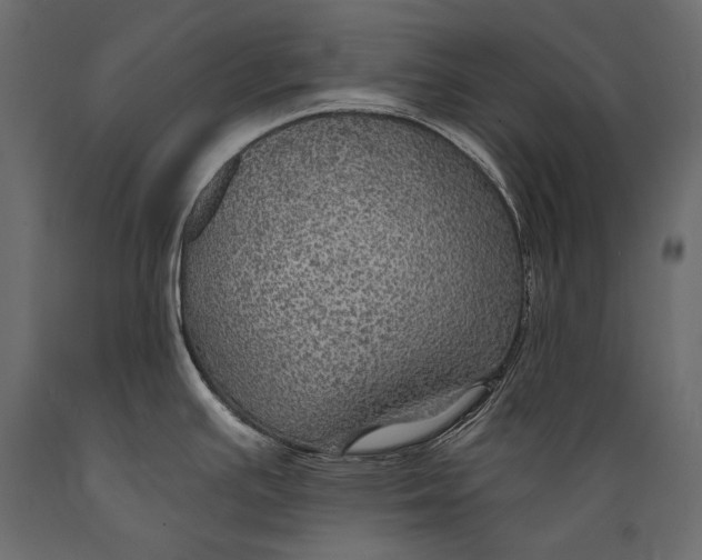 X0000088851391200706291445