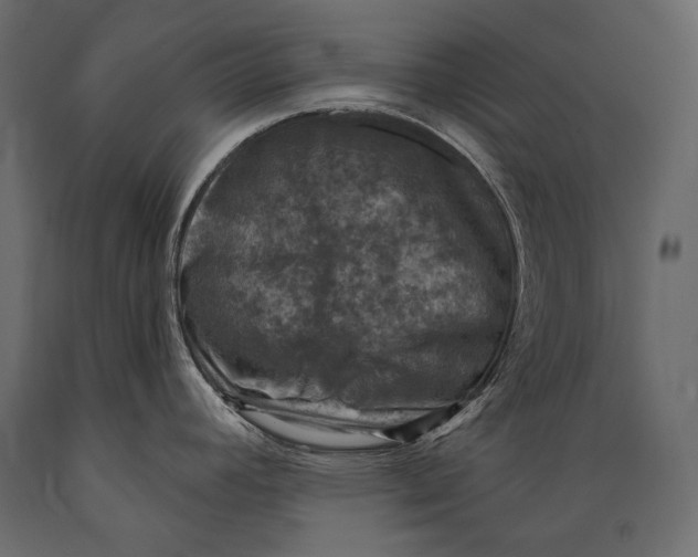 X0000088851392200706291445