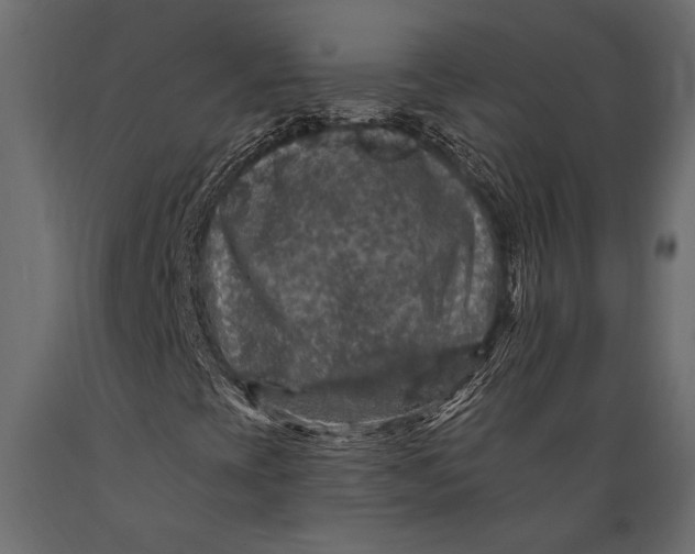 X0000088851393200706291444