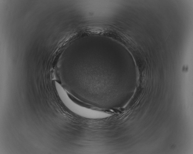 X0000088851394200706291444