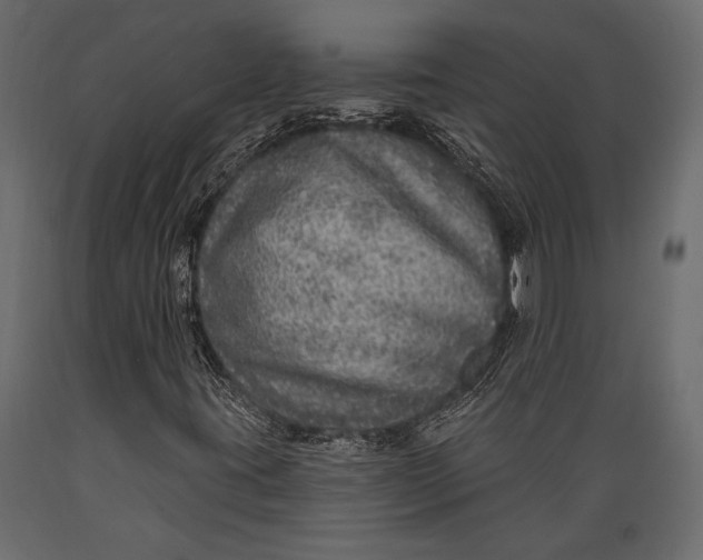 X0000088851395200706291444