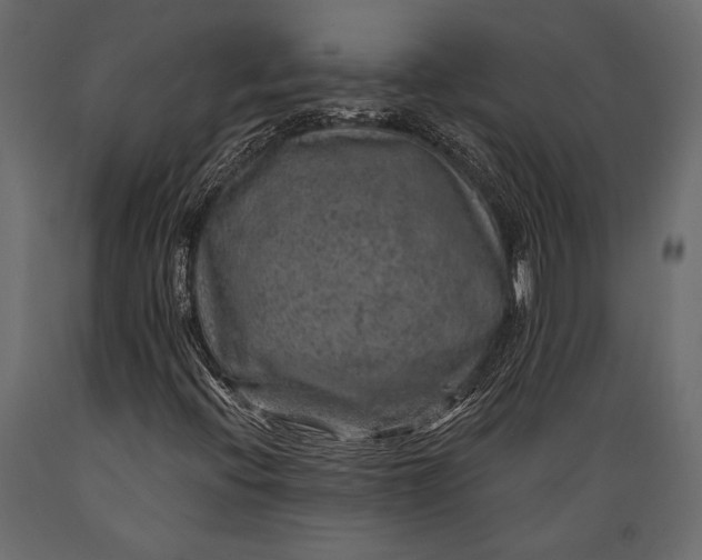 X0000088851396200706291444