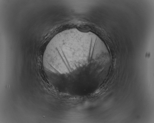 X0000088851397200706291445