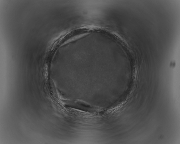 X0000088851398200706291445