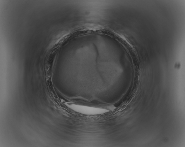 X0000088851399200706291445