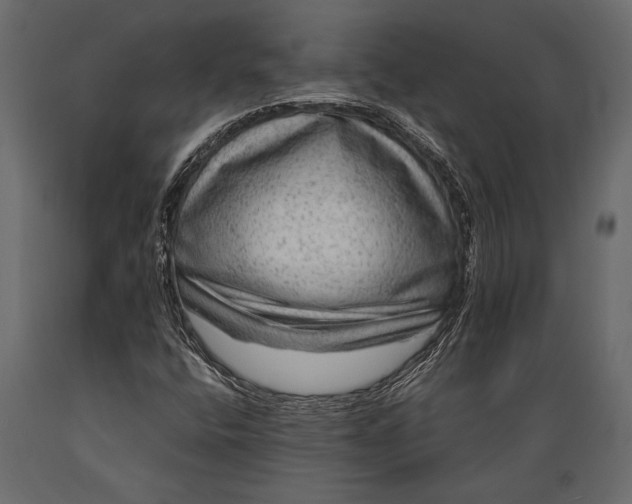 X0000088851400200706291445