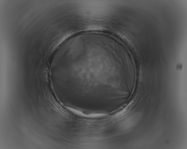 X0000088851401200706291445