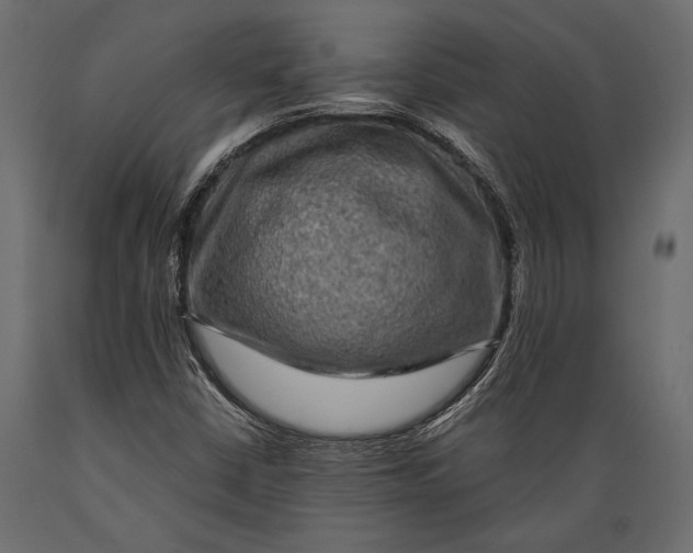 X0000088851402200706291445