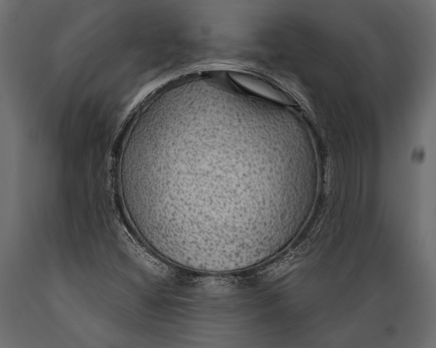 X0000088851404200706291445