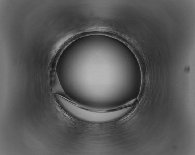 X0000088851406200706291445