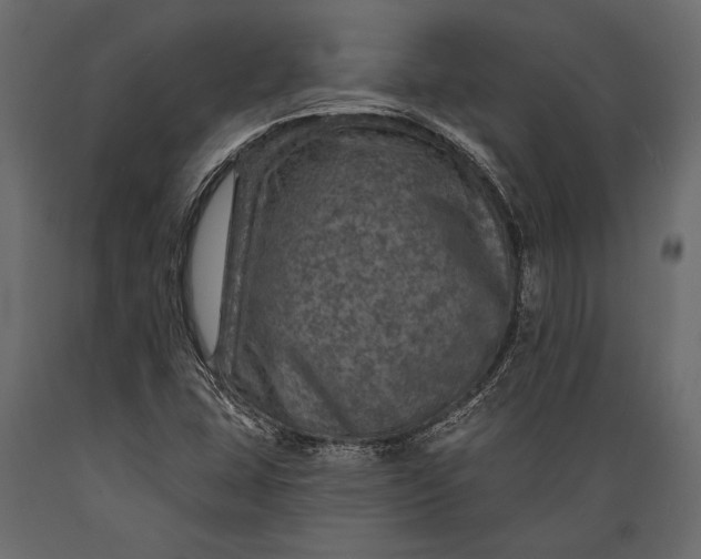 X0000088851407200706291445