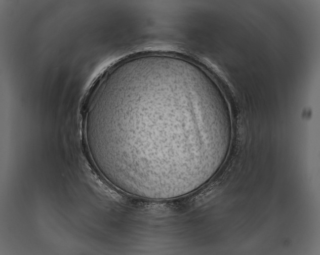 X0000088851408200706291445