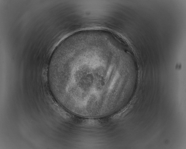 X0000088851409200706291445