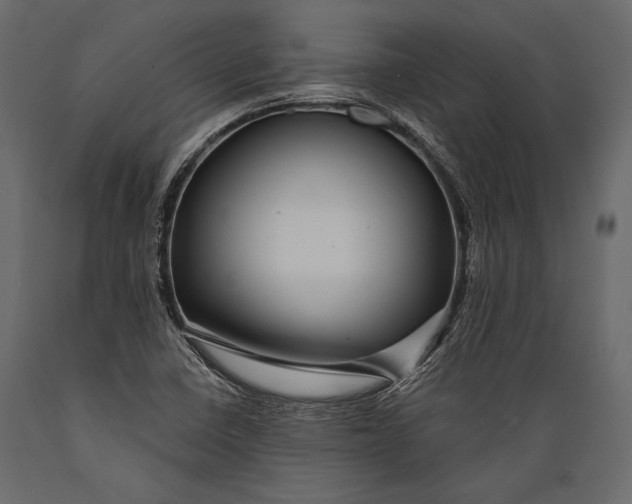 X0000088851410200706291445