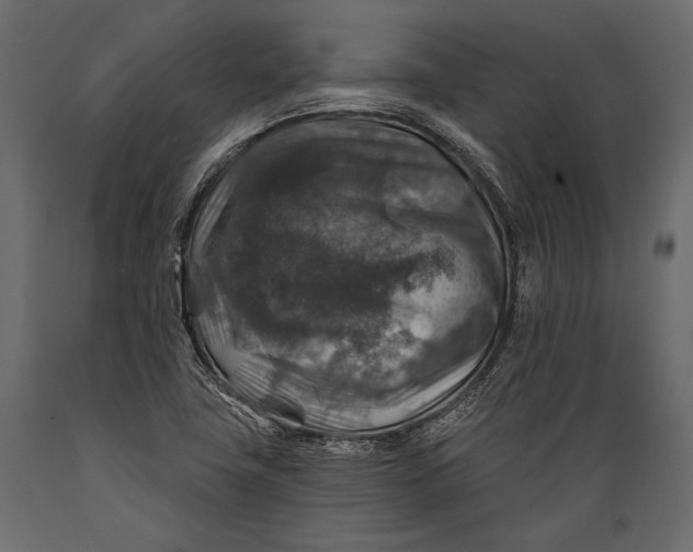 X0000088851411200706291445