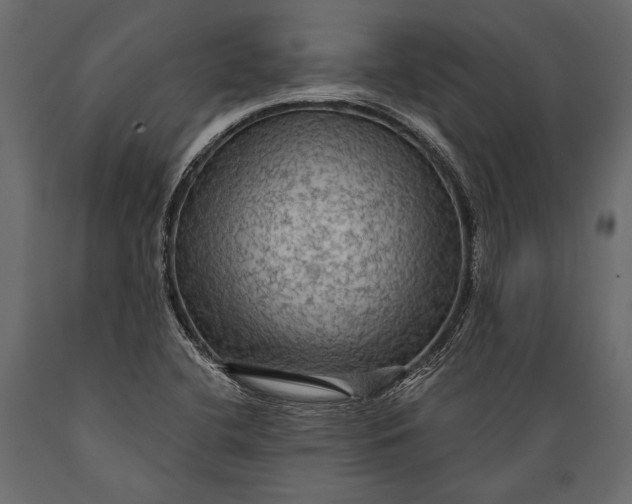 X0000088851412200706291445