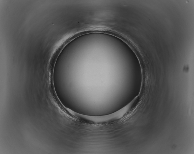 X0000088851414200706291445