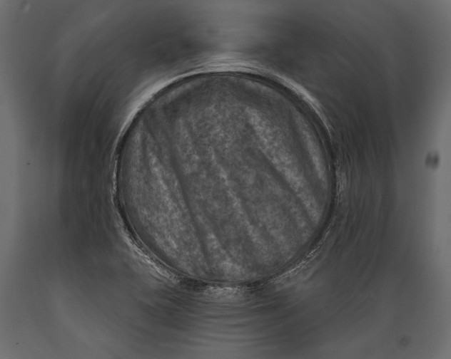 X0000088851415200706291445