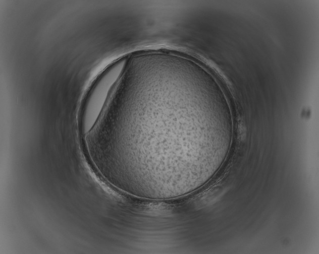 X0000088851416200706291445