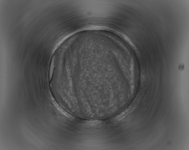 X0000088851417200706291445