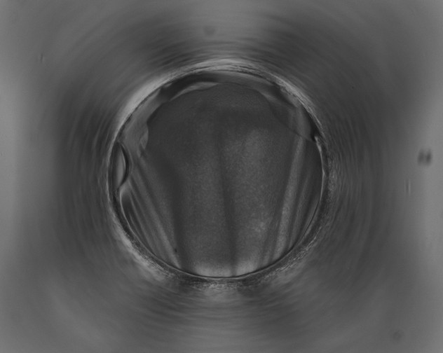 X0000088851418200706291445