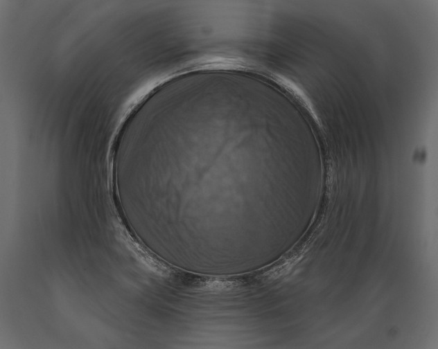 X0000088851419200706291445