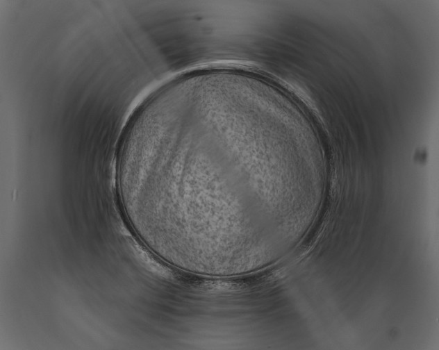 X0000088851420200706291445