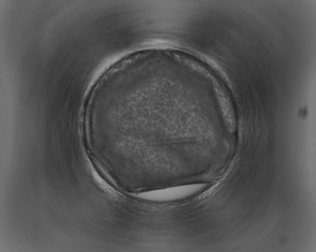 X0000088851421200706291445