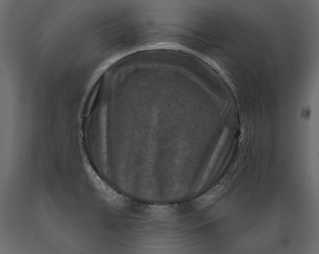 X0000088851422200706291445