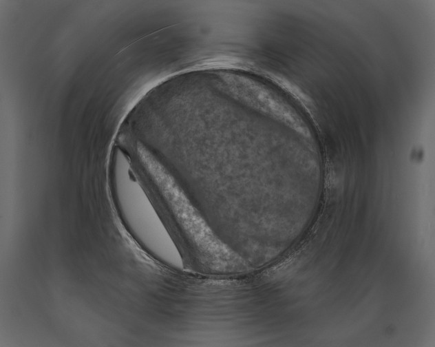 X0000088851423200706291445