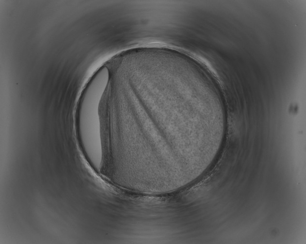 X0000088851424200706291445