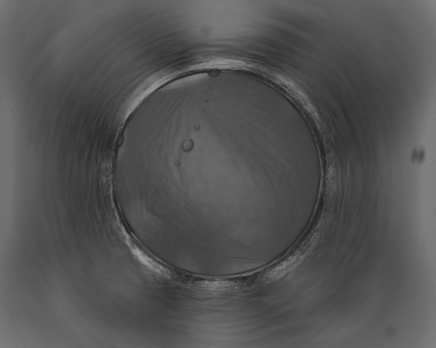 X0000088851425200706291445