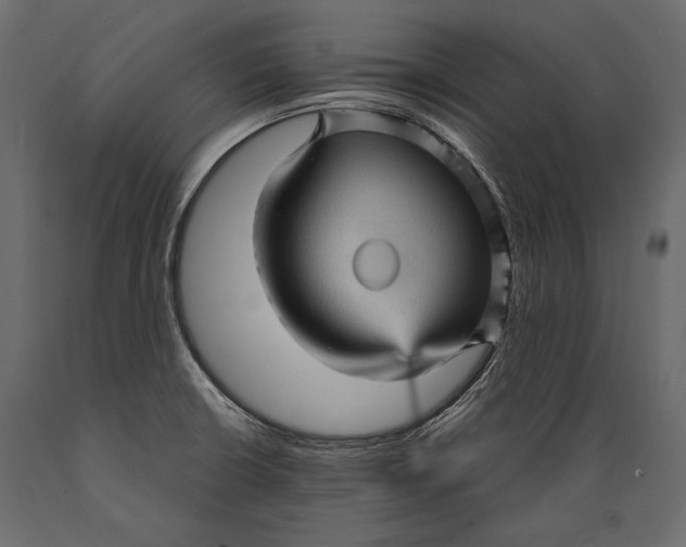 X0000088851426200706291445